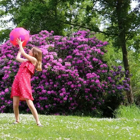 With 2 Bedrooms Grossefehn